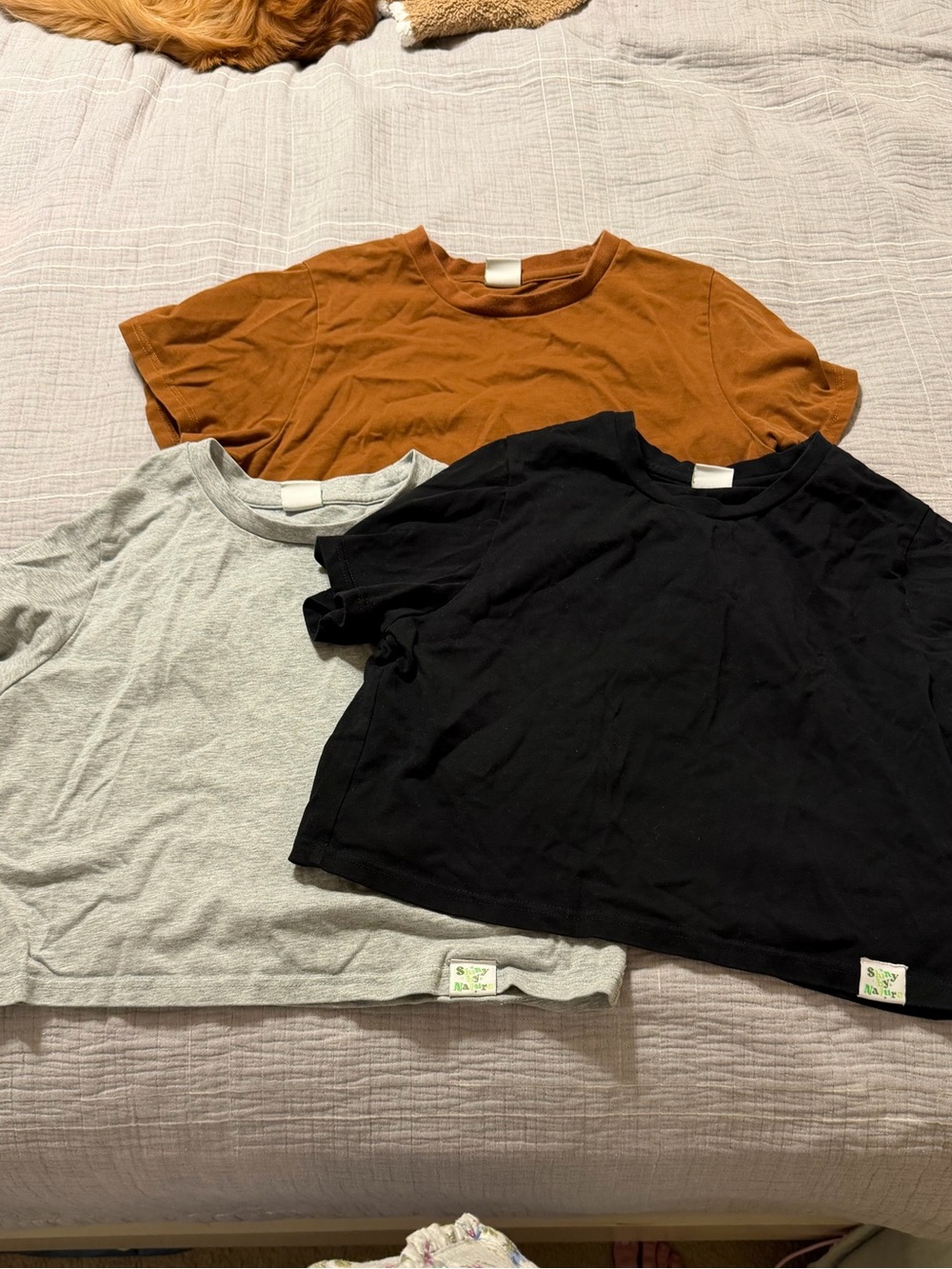 Shiny by Nature Cropped Tee Bundle